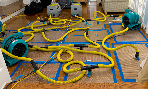 Professional Crawl Space Water Removal technician working in Ixonia, WI
